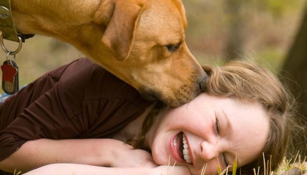 dog sniffing child's face