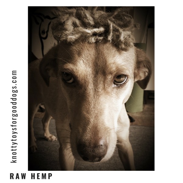 CEO Olivia wearing her hemp hat