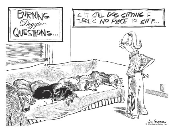 Dog's hogging the sofa