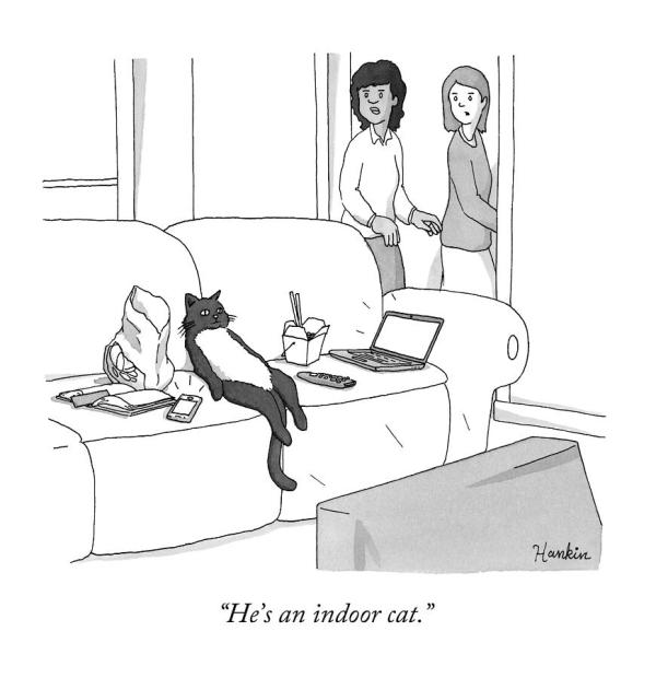 cartoon of a cat on a sofa 