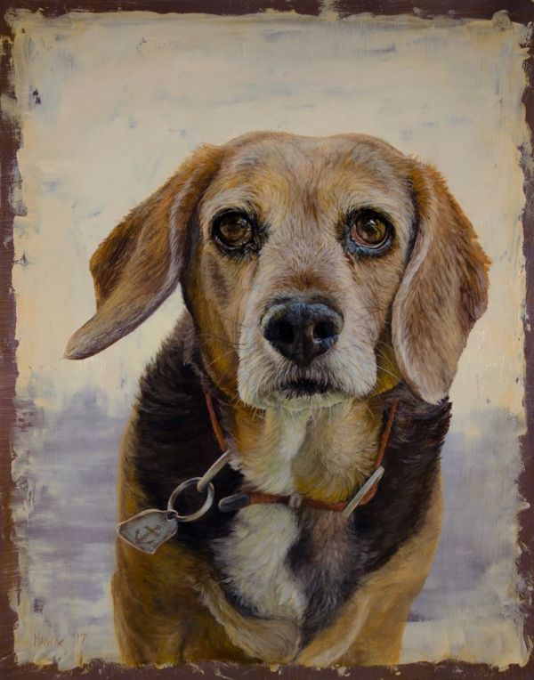 Beagle portrait by Dana Hawk