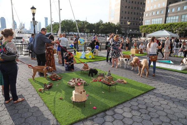 dogumeta art exhibit