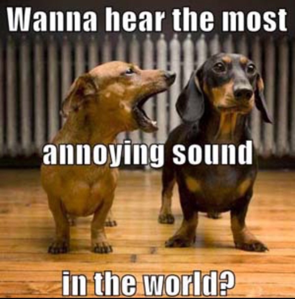most annoying sound dog style