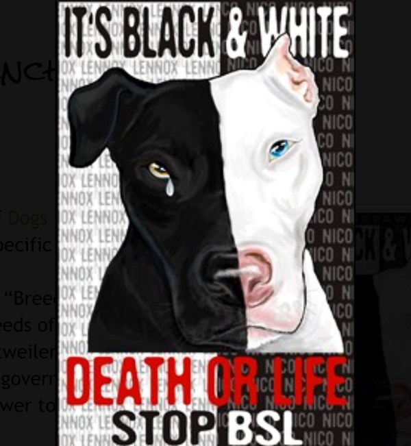 stop BSL poster