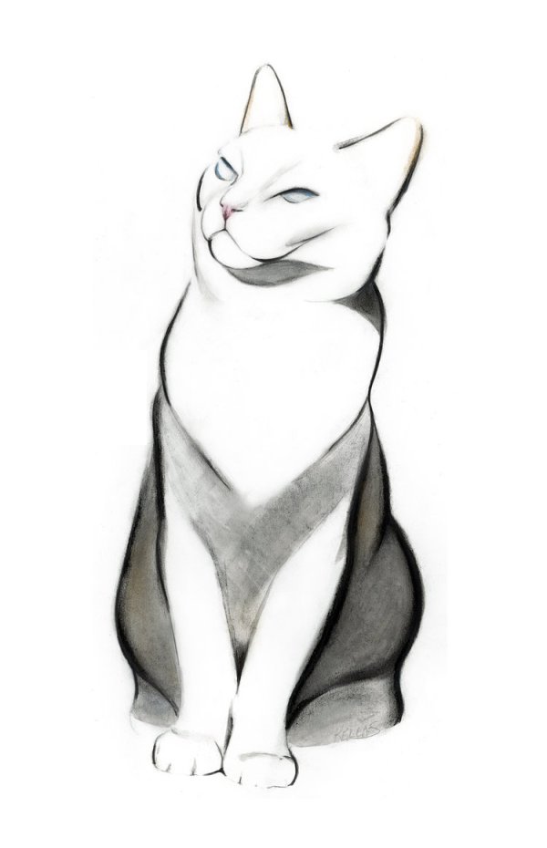sketch of a cat