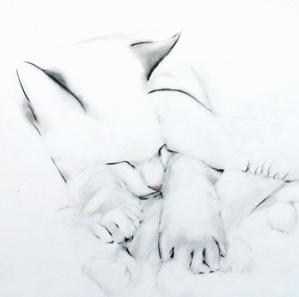 a drawing of a sleeping cat
