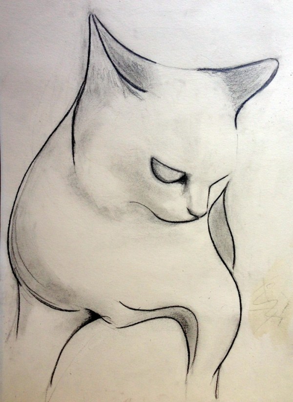 abstract cat drawing