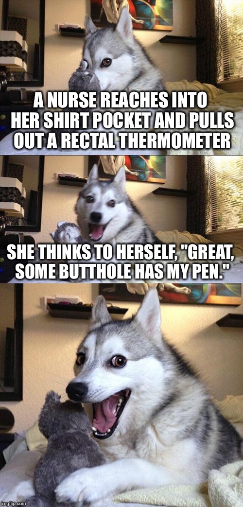 bad pun husky