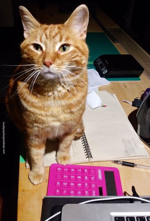 Cat Jerry Underfoot at work