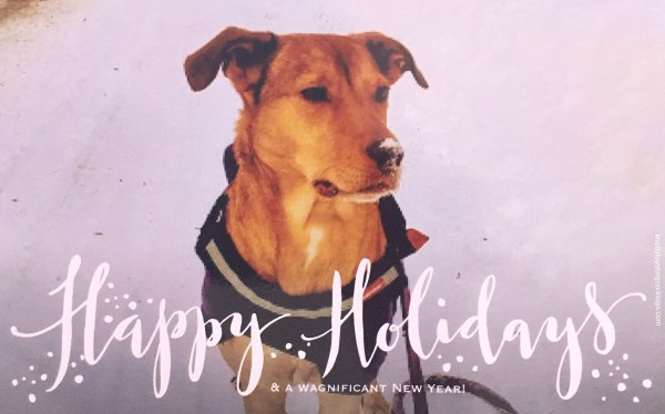 olivia xmas card 2017