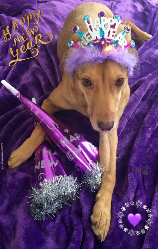 Happy New year 2019 from CEO Olivia