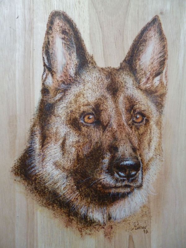 German Sheppard wood burning