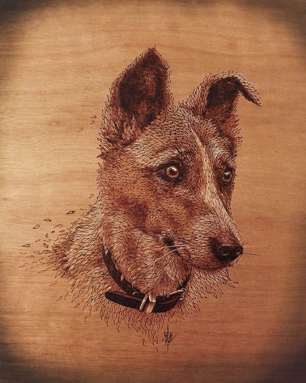 terrier wood burning