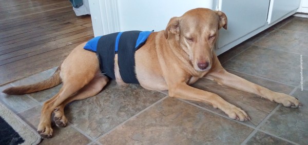 CEO olivia with her ice pack