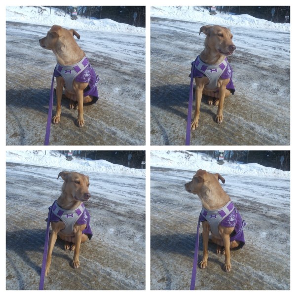 Olivia in her purple coat