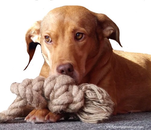 CEO Olivia and her Knotty Toy