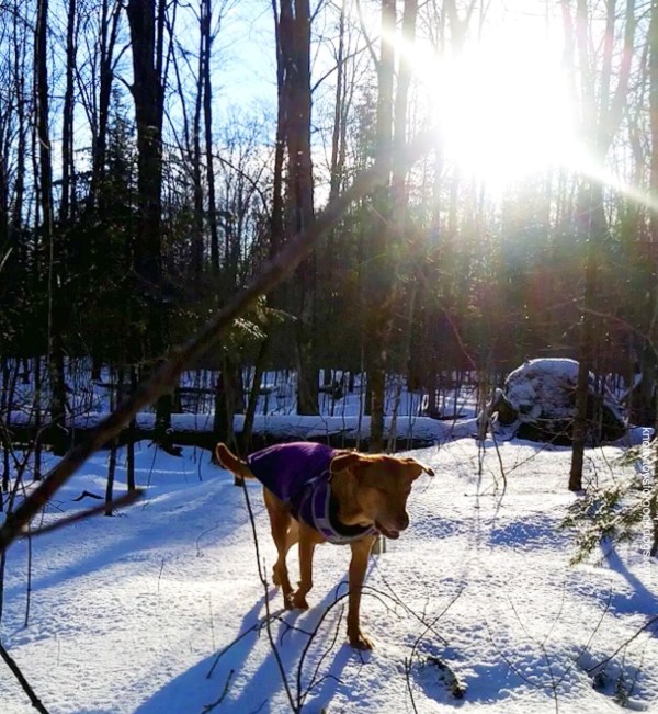 CEO Olivia enjoying some forest sunshine