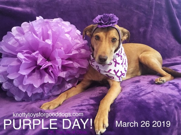 CEO Olivia goes purple