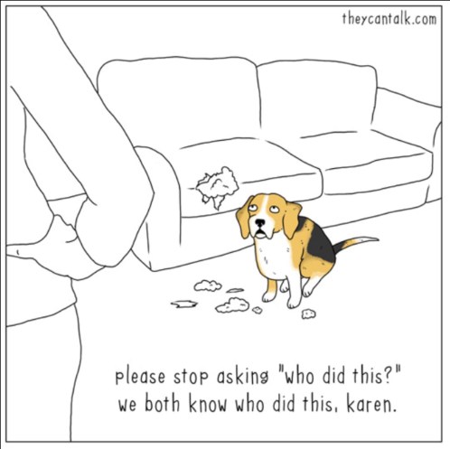 dog talking to Karen