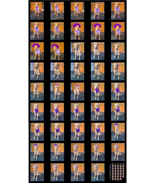 Contact of Olivia Purple Day 2021