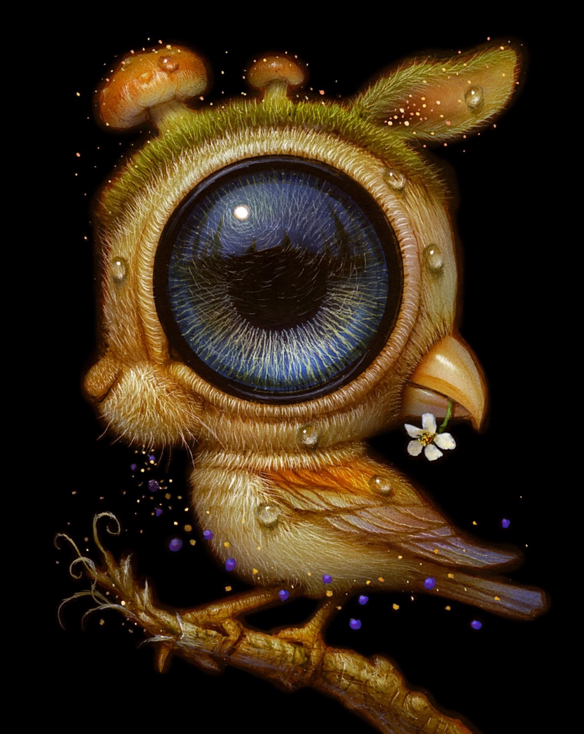 Artist Naoto Hattori's Wide Eyed Pawspective | Knotty Toys for