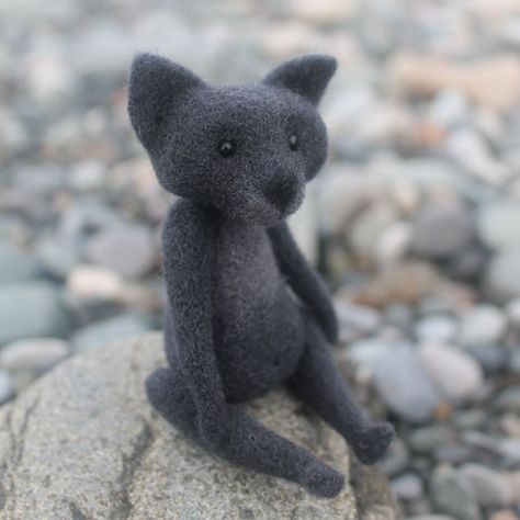 Cat wolf with rabbit tail